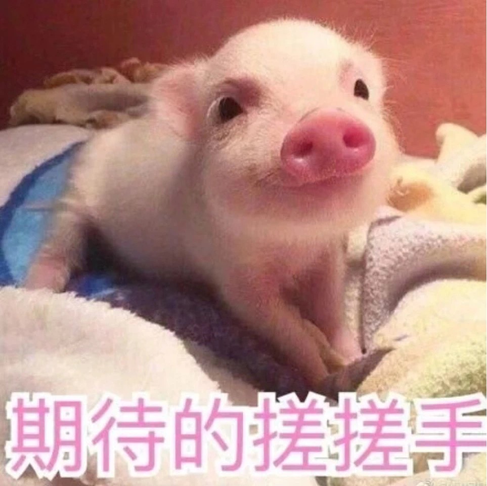2121非凡·(中国游)体育官方网站